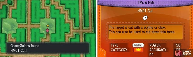 HM01 - Cut can be found in the centre of the hedge &ldquo;maze&rdquo;.