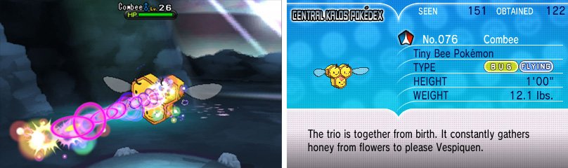 Only female Combee can evolve; the poor males can&rsquo;t catch a break.