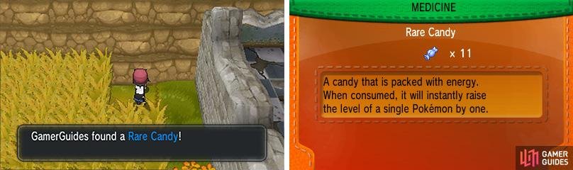 You have to wade through overgrown grass for this Rare Candy, but it&rsquo;s worth the trouble!