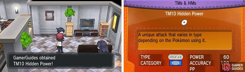 Hidden Power can be any Type (eg. Fire, Psychic) depending on the Pok&eacute;mon.