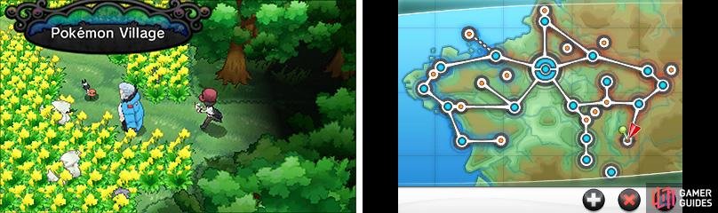 There&rsquo;s a LOT of cool wild Pok&eacute;mon to find and capture in the Pok&eacute;mon Village.