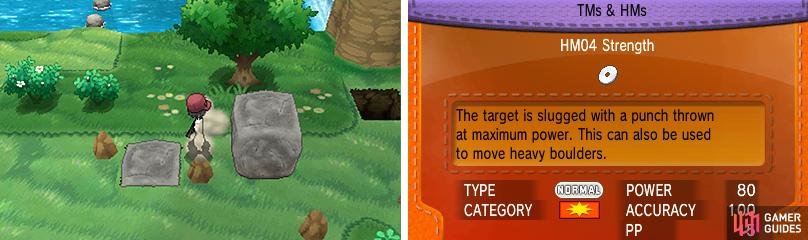 You need the Strength move assigned to move any of these large square blocks.