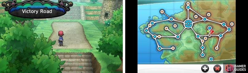 You&rsquo;ve almost made it! But there&rsquo;s a LOT of Trainer battles to face yet.