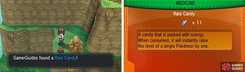 Another super-handy Rare Candy to use on any of your Pok&eacute;mon.