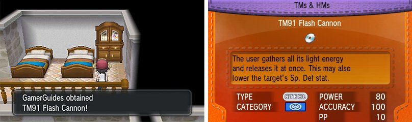 TM 91 - Flash Cannon: May lower opponent&rsquo;s Sp. Def one stage.