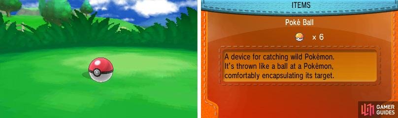 The Pok&eacute;ball is the staple requirement for catching any type of Pok&eacute;mon on your travels.