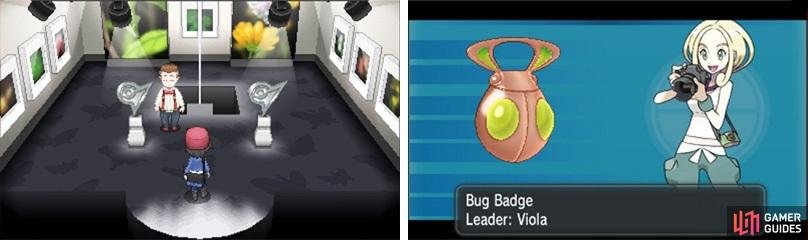 Beating each gym leader and getting their badge is proof of your skill as a Pok&eacute;mon trainer.