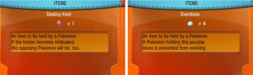Keep these two items safe: they&rsquo;re essential for any serious breeder!