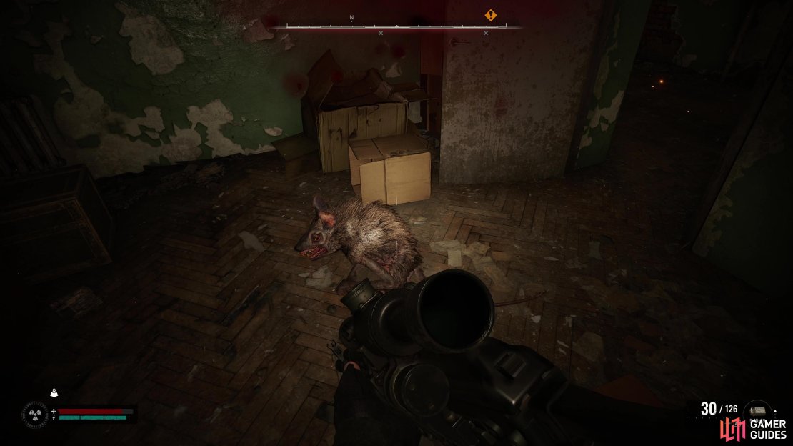 Kill the rats that swarm at you in the corridor.