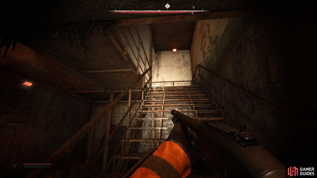 Continue following the tunnel with the poisonous anomalies to find some stairs leading up.