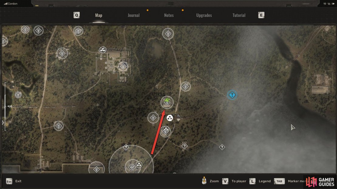 Wisp can be found in the Pig Farm, northeast of Rookie Village.