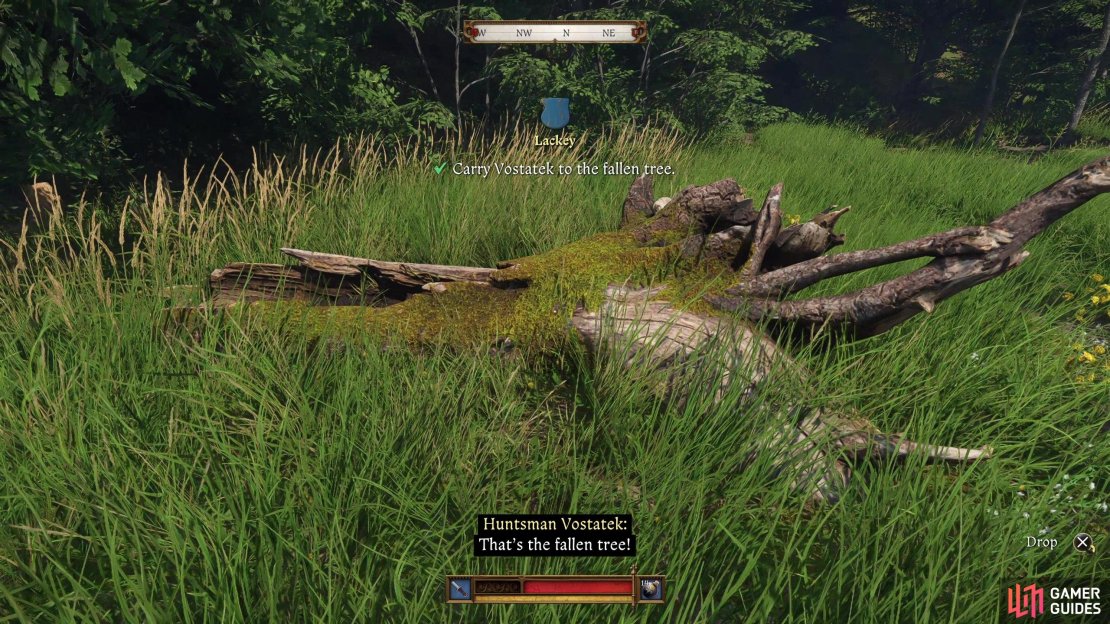 Carry Vostatek to several landmarks en route to his camp, including a moss-covered trunk,