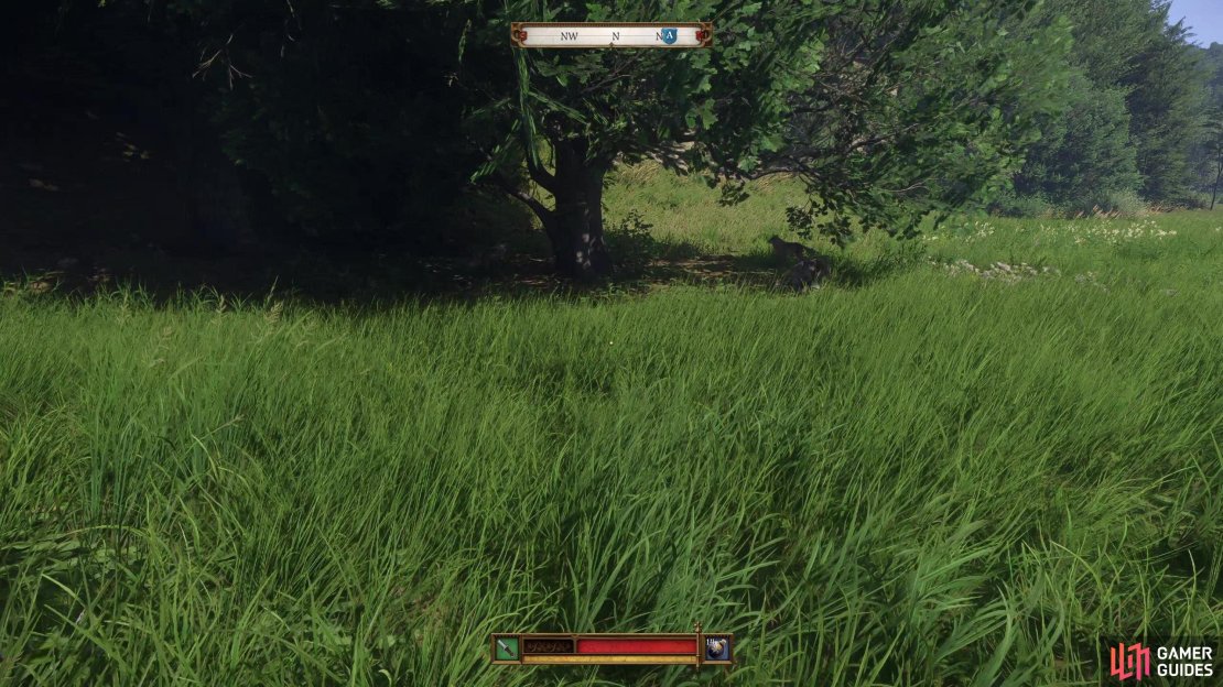 Approach the search area and you&rsquo;ll hear somebody screaming for help - a man has been chased into a tree by some wolves!
