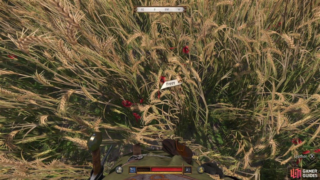 You can find poppy plants and thistle in the fields west of Troskowitz,