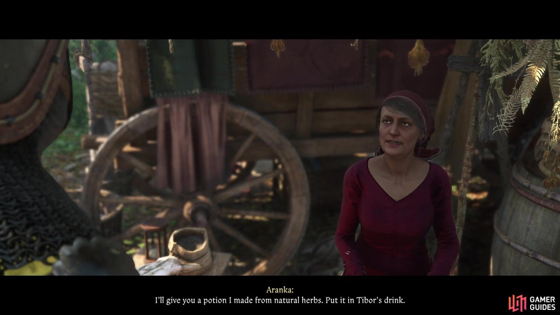 Once again, chat with Aranka before the fist fight and she&rsquo;ll give you another potion,