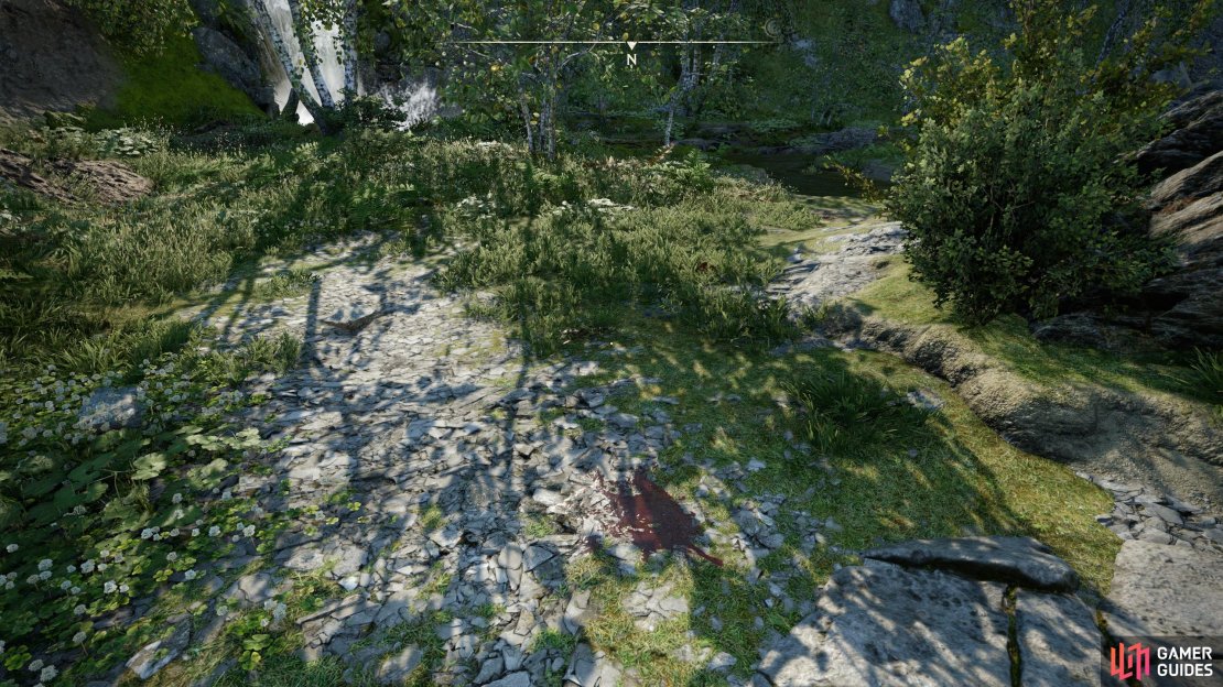 North of the arrow-filled corpse you&rsquo;ll find some blood,