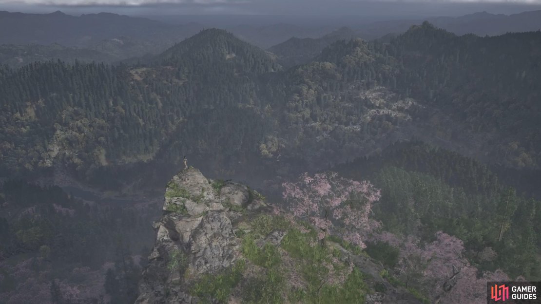 To unlock this, you need to reach the Viewpoint atop Mount Hakkyo.