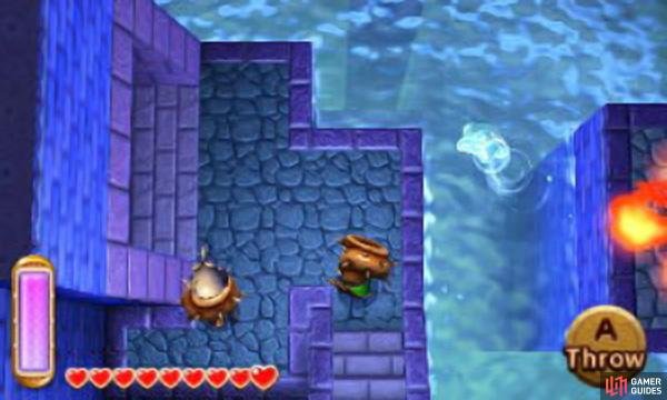 Gyorm are swordfish-like monsters that protect themselves with a tough shell. Pull off their shell with the Hookshot, then dice them when they&rsquo;re exposed. Their shell can also be picked up and thrown.
