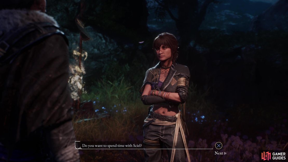 Talk to your companions in camp after every story dungeon,