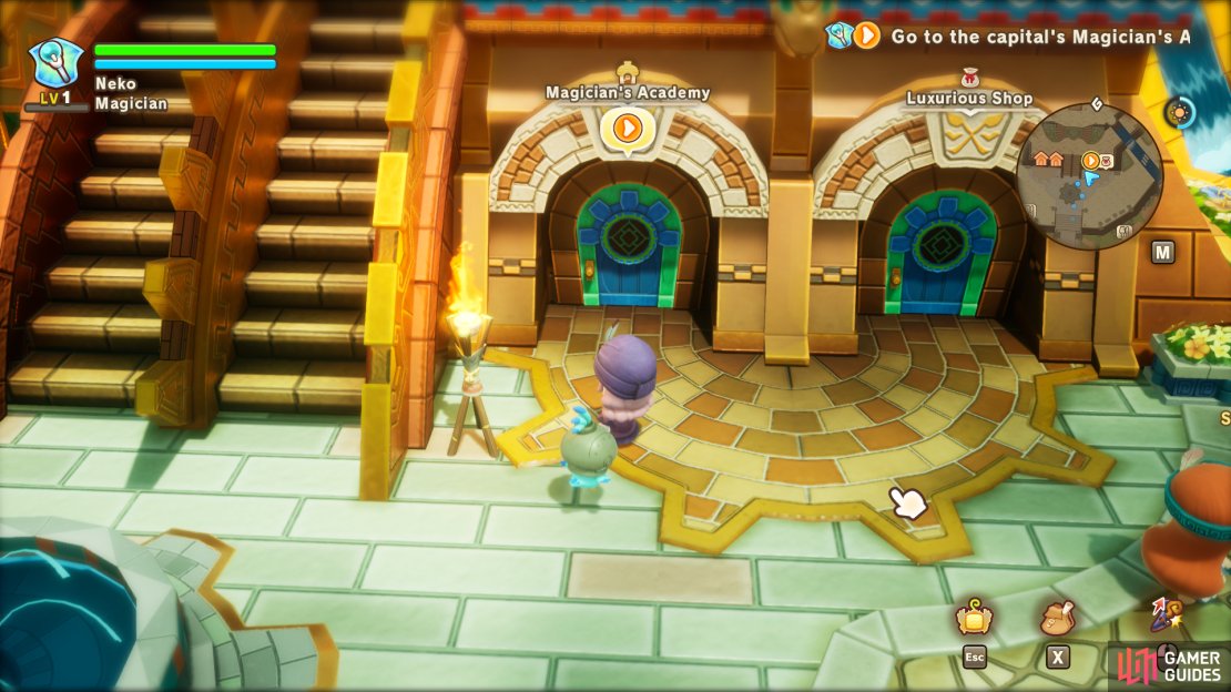 Magician&rsquo;s Academy