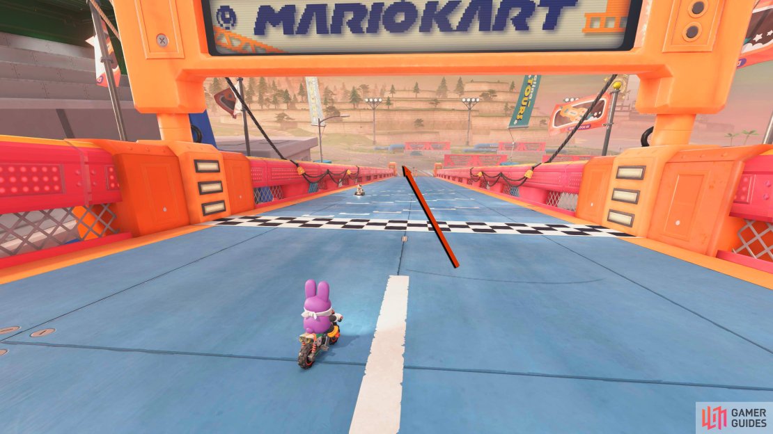 At the starting flag, turn around and leave the circuit.