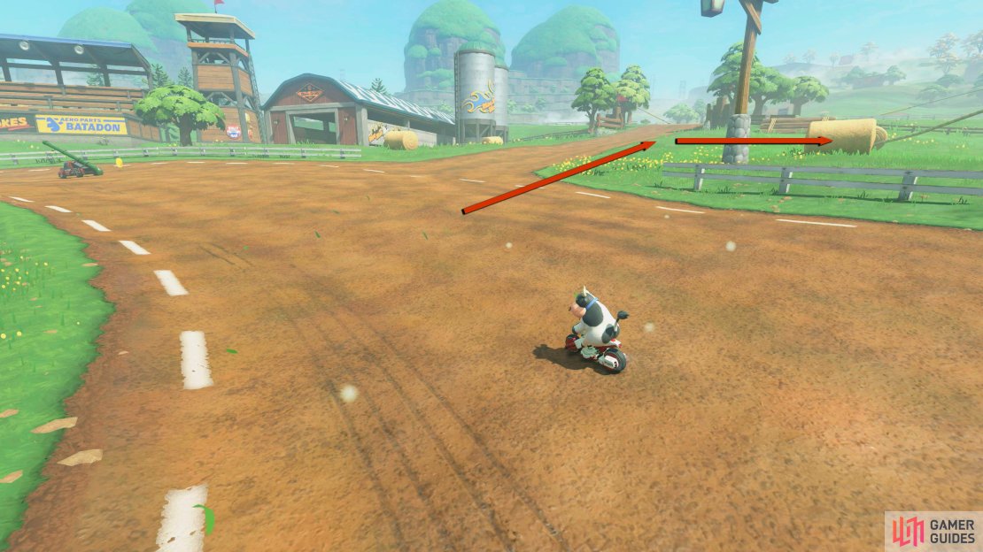 Follow the track from the starting flag and go right at the intersection.