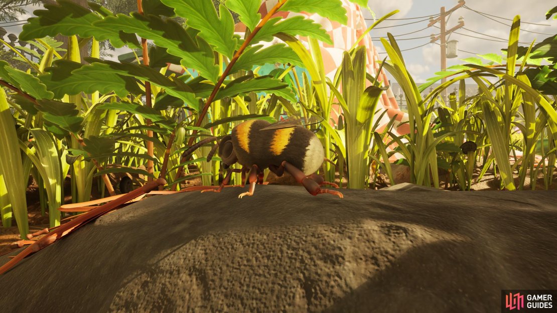 Here&rsquo;s where to farm bees in Grounded 2. Image via Gamer Guides and Obsidian.