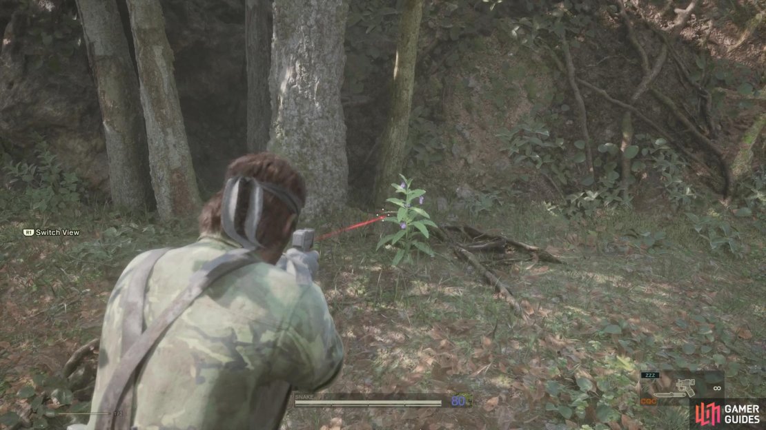 There are a few plants in Dremuchij South you want to grab for the Cure menu.