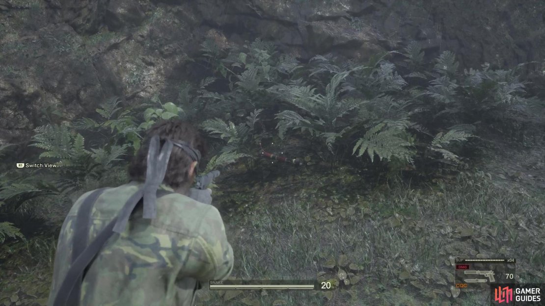 There are two new snakes that you can collect at the beginning of this area.