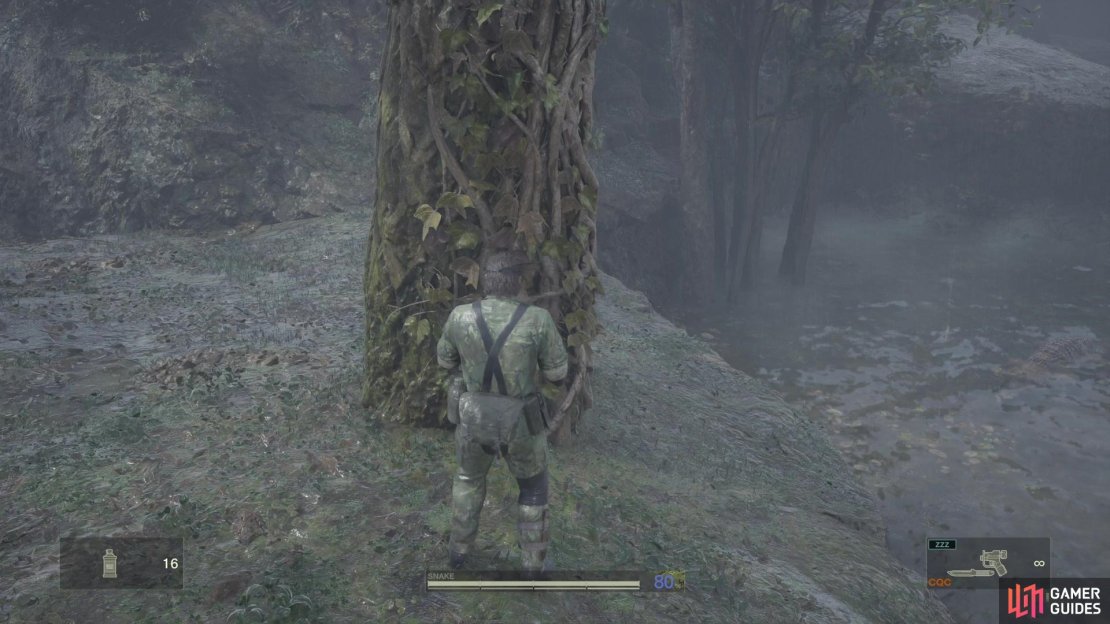 Climb this tree here and hang from the wire it&rsquo;s connected to.