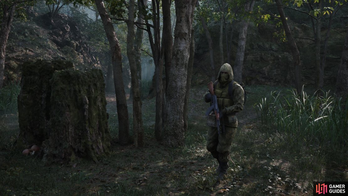 Dremuchij North is the first area where you will encounter enemies.