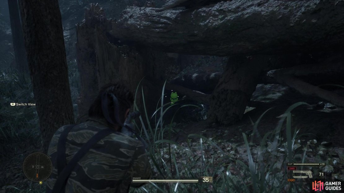 Look underneath the logs on the northern side of Dremuchij East for Kerotan 6.
