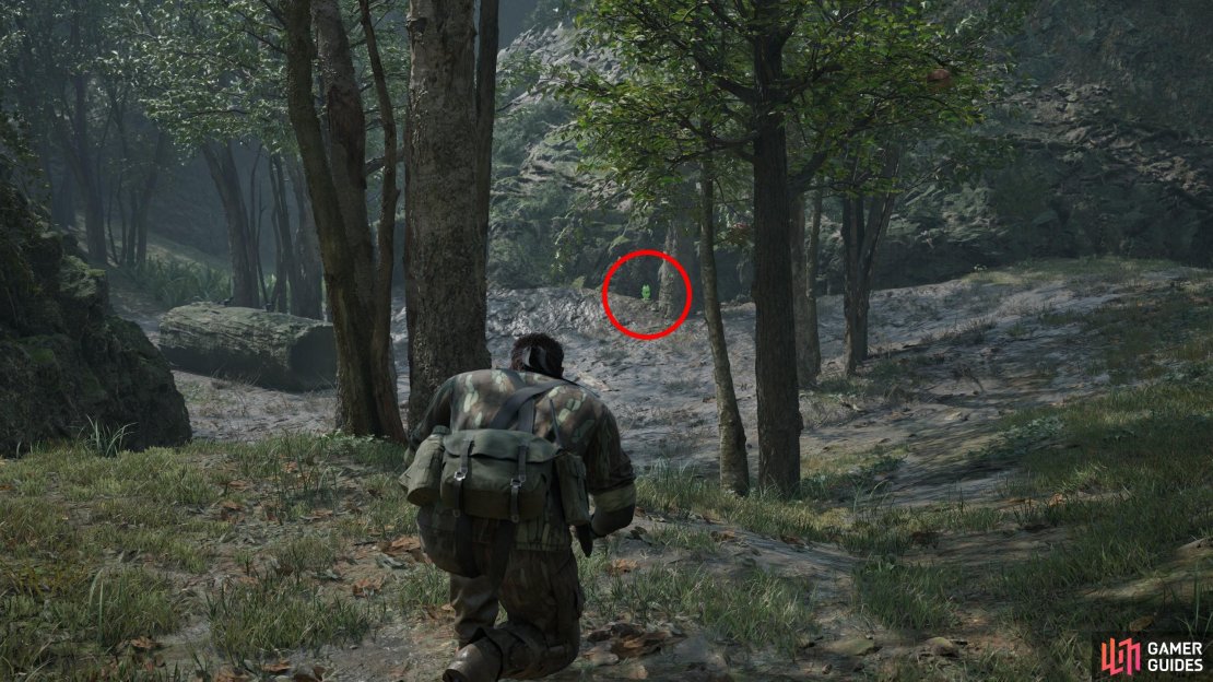 From the easternmost of three exits along the southwestern edge of the Sokrovenno North area, follow the wall to the right north and you&rsquo;ll find this Kerotan near a tree.