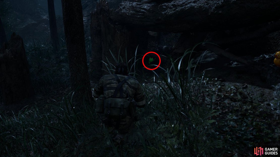 During Operation Snake Eater you&rsquo;ll start out in Dremuchij East. Find this Kerotan near the stump of a fallen tree.