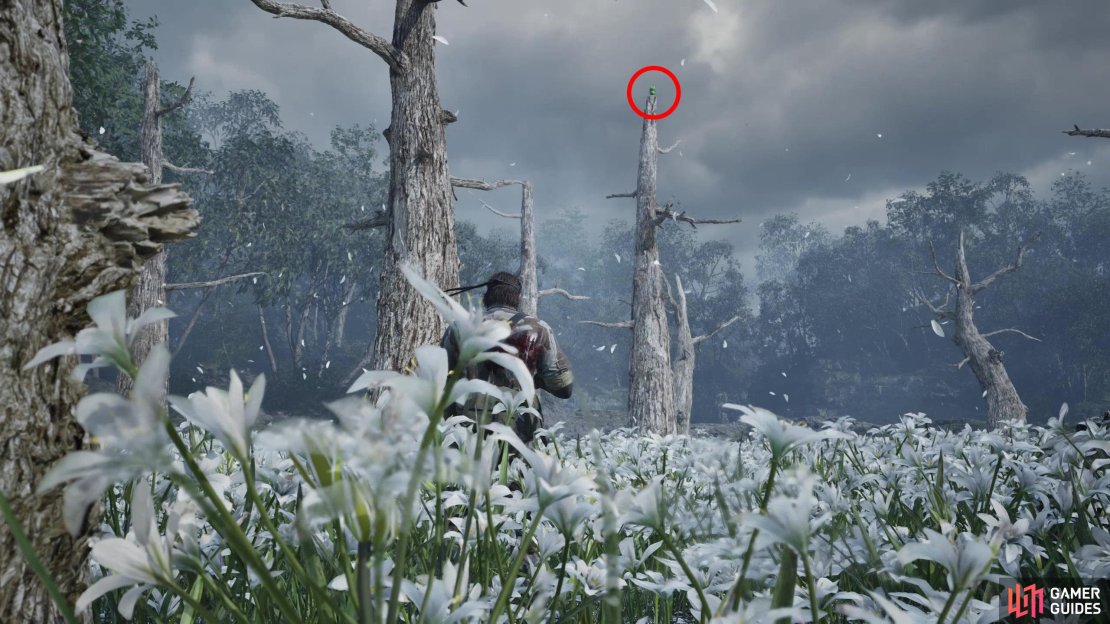 During the fight with The Boss, look up at the tops of the trees in the area to find this final Kerotan - it&rsquo;ll be southeast of the center of the map.