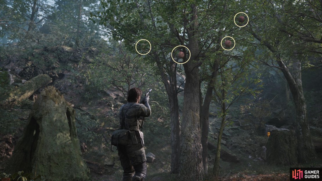 You can also find a tree with some Yabloko Molokos on it right by the duck doll in Dremuchij North.