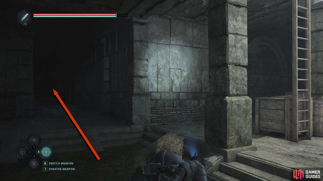 After you take the second ladder down, follow the tunnel southwest.