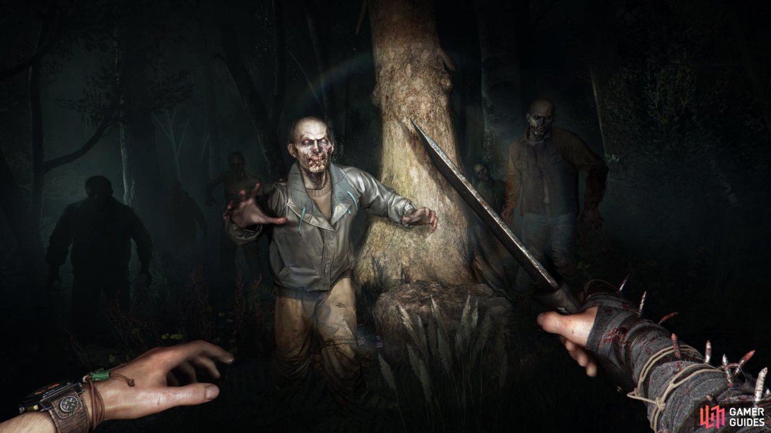 Here&rsquo;s everything you need to know to survive the nighttime in Dying Light: The Beast. Image via Techland.