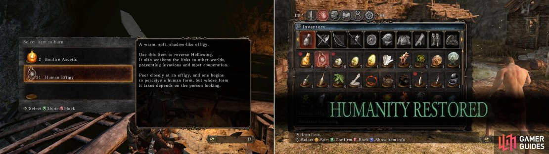 Human Effigy&rsquo;s aren&rsquo;t infinite in supply; so only burn one if you really don&rsquo;t want to be invaded (and even then it doesn&rsquo;t prevent invasions from happening by 100%). Burning an effigy WILL NOT turn you human!