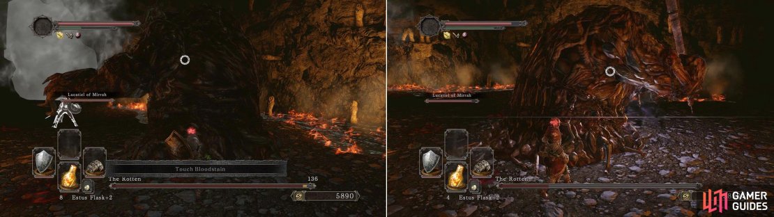 Remember to use the Red Eye Ring if you&rsquo;re taking Lucatel in with you.