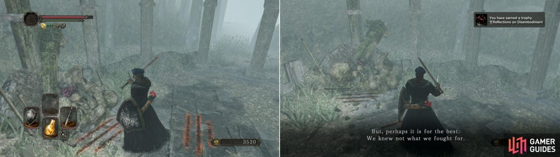 Once you&rsquo;ve got the helmet you&rsquo;ll earn the Reflections on Disembodiment Trophy/Achievement.