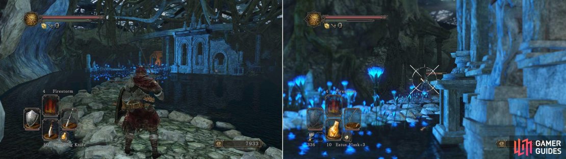 Probably one of the trickest parts of this area. It&rsquo;s packed with items but also packed with enemies.