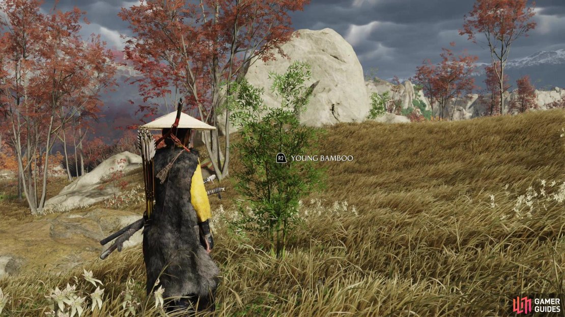 Pick resources as you explore to ensure you have enough for upgrades and trade.
