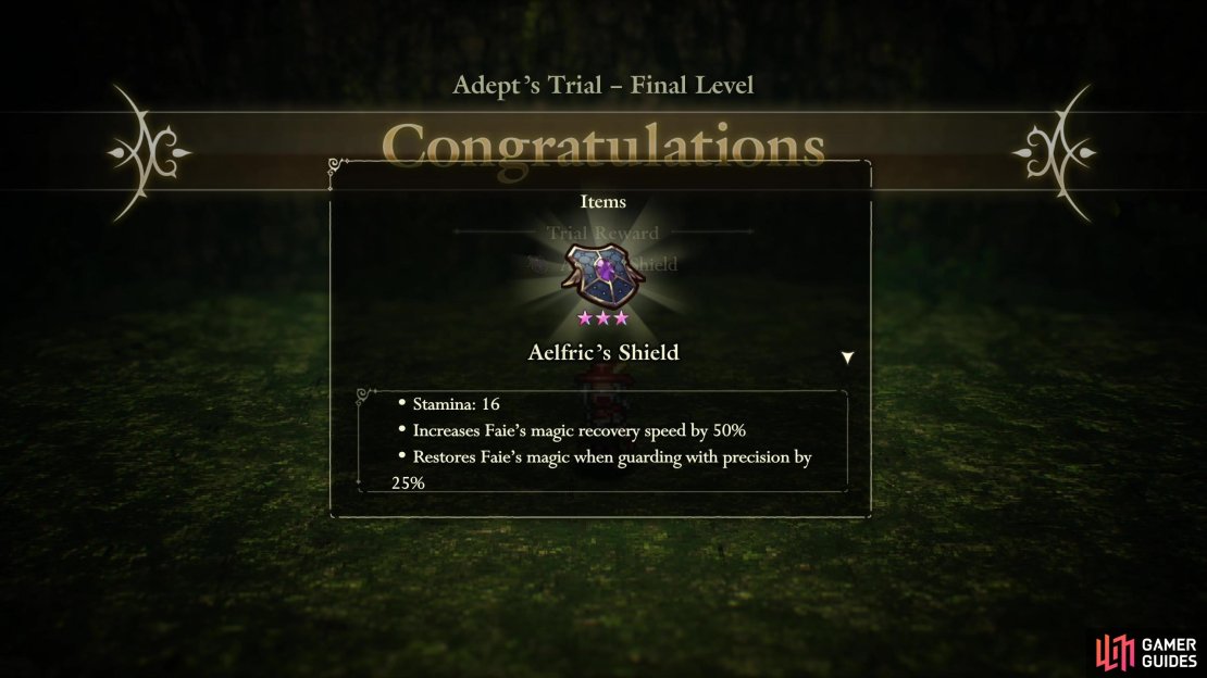 Complete the Adept&rsquo;s Trial at the Temple of Trials to obtain this shield.
