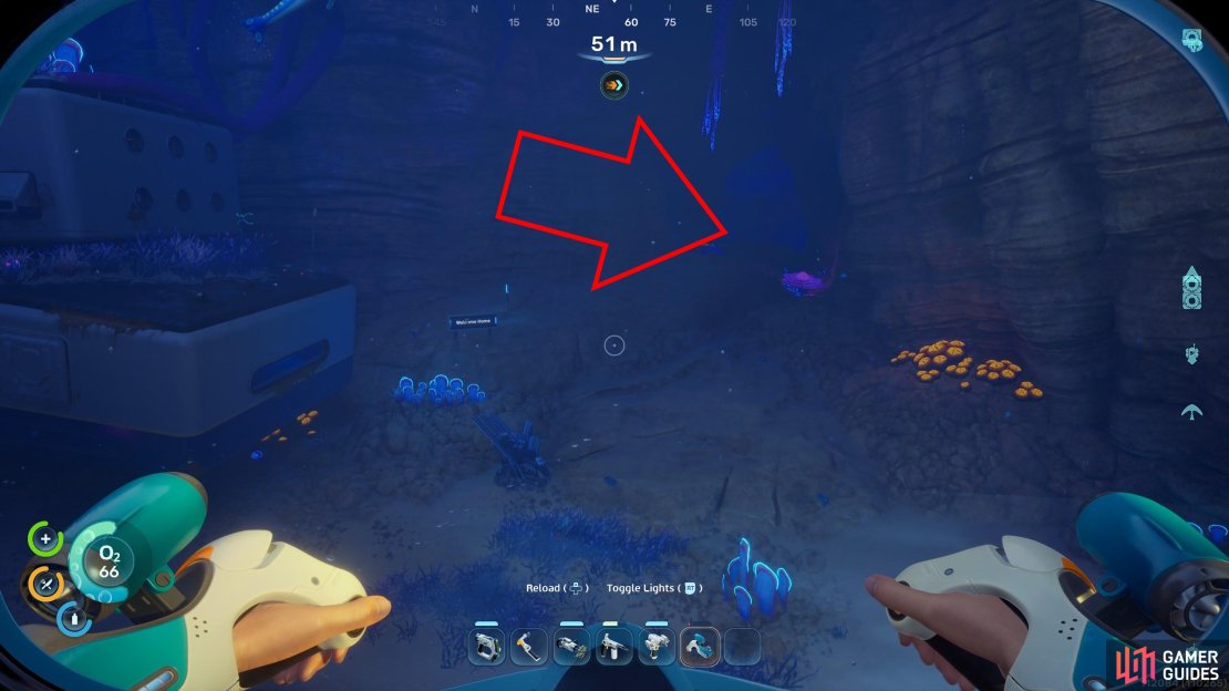Find a cave near the Old Habitat, 