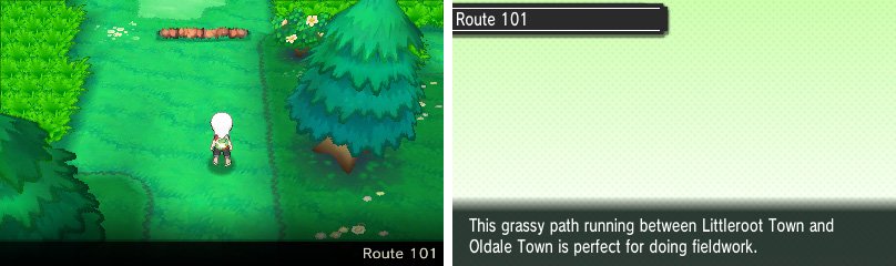 A brief route with some Pokemon that you can&rsquo;t catch yet.
