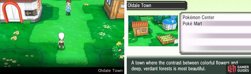 A small town of minor importance where you&rsquo;ll learn about the key facilities for a trainer.
