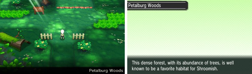 The obligatory earlygame forest, inhabited by Pok&eacute;mon and trainers alike.