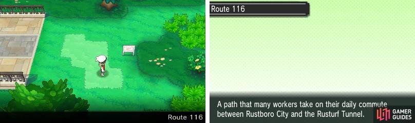 A route with actual Pok&eacute;mon and trainers!