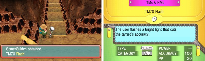 Because it&rsquo;s a TM, you can teach and overwrite Flash as the situation dictates.